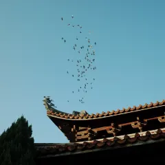 圆圈松跃生烫(新华商城小区店) User Photo