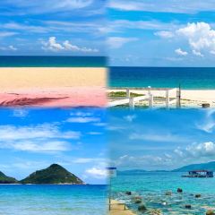 dan jia yu pai User Photo