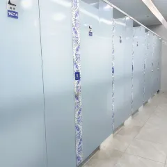 陶姐冷粉張用戶圖片