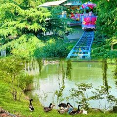 Song ji ba da wan User Photo