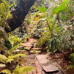 泰椰天香·江景六国料理 User Photo