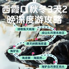 FRESH UNDER THE SEA 여행 사진