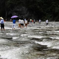 王莊阿咪大牌檔 （省體店）張用戶圖片