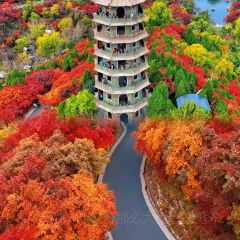 秦记火烧 User Photo