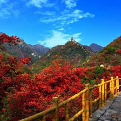 SHENG YU REN JIA User Photo