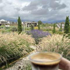 Kuiran Snow Mountain Treehouse Coffee User Photo