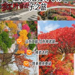 WEIDAOJIA MAMACAI User Photo