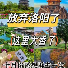 LONG LIN LU DI YI GU NIU ROU SHANG User Photo