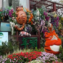 AI SHANG JUN User Photo