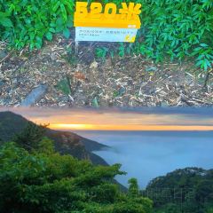 SEE MOUNTAIN LU TALK User Photo