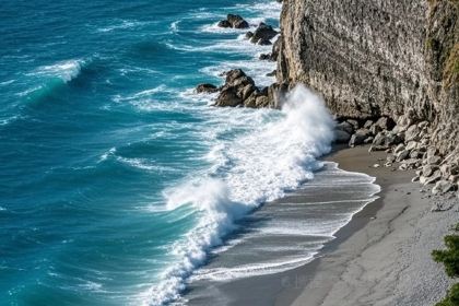 Umeko Taiwanese Cuisine