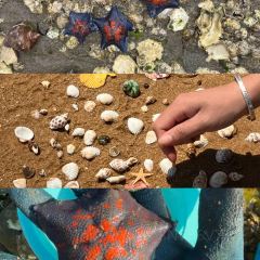 贤花饭店(韩乐坊东街店) User Photo