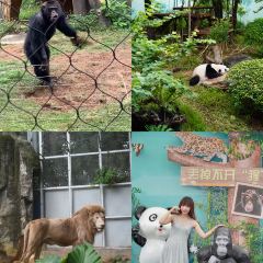 南宁香格里拉酒店·大堂吧 User Photo