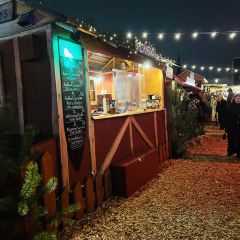 Freischwimmer張用戶圖片