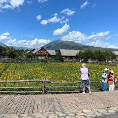 禾木老村山庄 User Photo