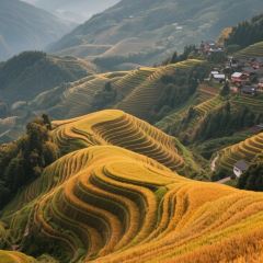 XIAO XI FU YOU CHA User Photo