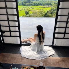 一尺稻田咖啡 User Photo