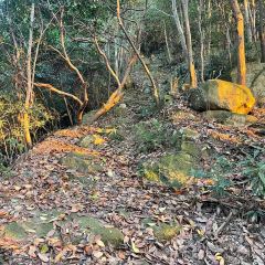 诸暨正宗次坞打面(人民西路店) User Photo