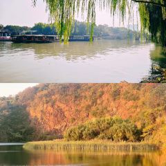 Xiexi Street Shaomai Shop User Photo