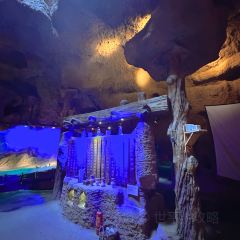 五道林尚林苑生态旅游园·车师驿站 User Photo