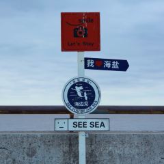 胜利饭店(沈荡店) User Photo