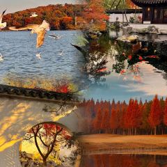 LI BAI XIE User Photo