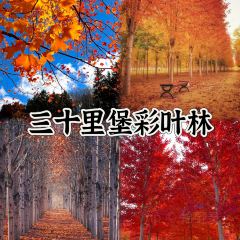 QIAN KU LI SEAFOOD-BUFFET User Photo