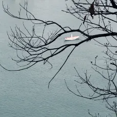 胡記包子張用戶圖片