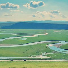 粘豆包铁锅炖(温泉街店) User Photo