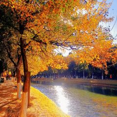 AI SHANG JUN User Photo