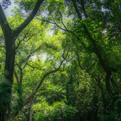 曹妹螺蛳粉(柳锌总店) User Photo