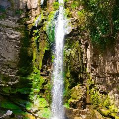 XIAO BEI JIANG HE XIAN User Photo