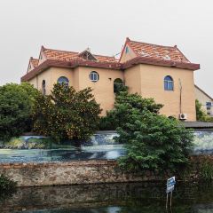 忆岛饭店 User Photo