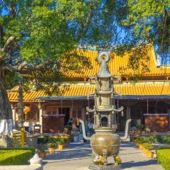 Auntie Jijia User Photo