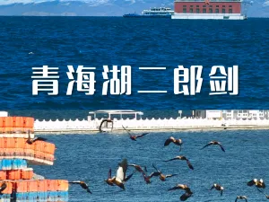 青海土火锅(建设西路店)