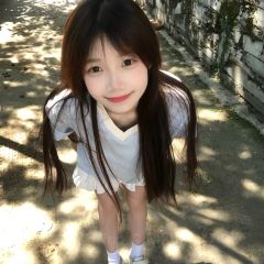 梧桐树 User Photo