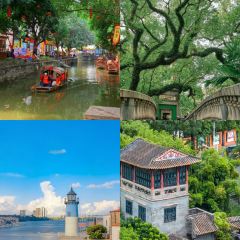 FengCheng ShuangPi Nai User Photo