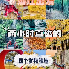 LIN SHANG REN JIA User Photo