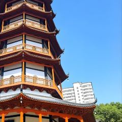 LAO SAN YANG User Photo