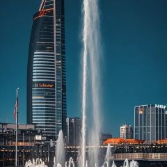 SEAF0OD MASTER User Photo