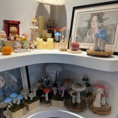 LEI JIA DOU FU YUAN ZI User Photo