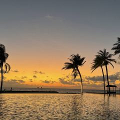 BZK·SEAFOOD User Photo