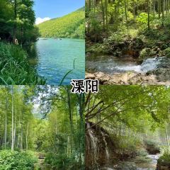 飞茑集樢咖啡 User Photo