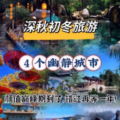 老炳·七叢松甘草水果張用戶圖片