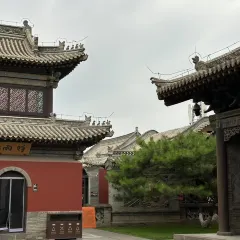 XINJIN TAO 여행 사진