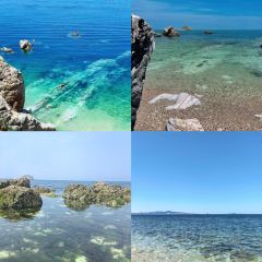 海島日記（養馬島店）張用戶圖片