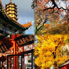 博山菜館張用戶圖片