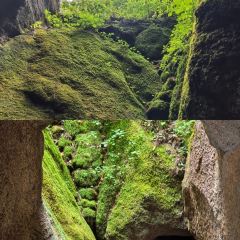 灵山酒酿 User Photo