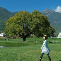 Lijiang Club Med Resorts Amaze Snow Mountain CampTent Restaurant User Photo