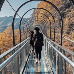 Shunji Traditional Cold Noodles User Photo